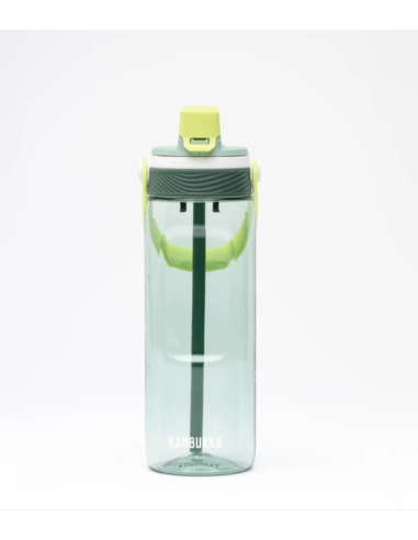 BOTELLA DUPLA PINE FOREST 750 ML...