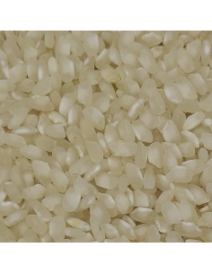 ARROZ BOMBA