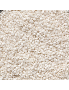 ARROZ ALBUFERA