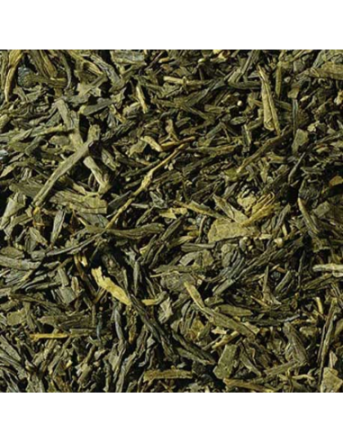 TE VERDE CHINA SENCHA  BIO