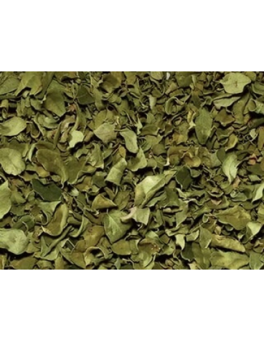 MORINGA