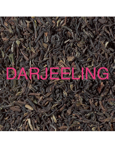 TE NEGRO DARJEELING KG