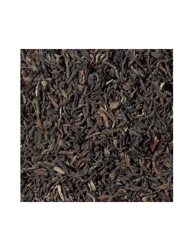 TE NEGRO DARJEELING