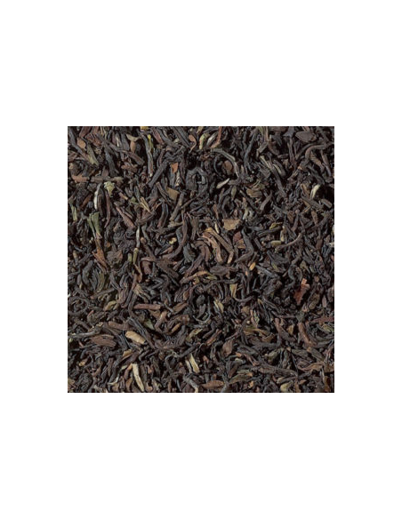 TE NEGRO DARJEELING