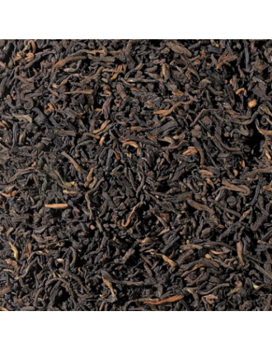 TE ROJO PU ERH