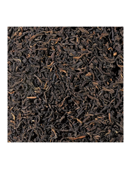 TE ROJO PU ERH