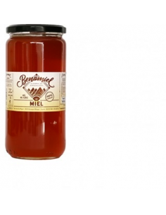 MIEL MIL FLORES 1 KG BENAMIEL