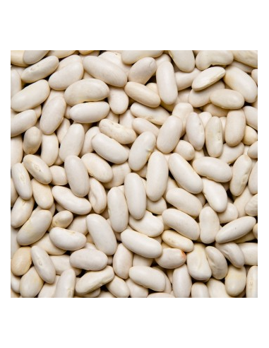 ALUBIA BLANCA RIÑÓN.