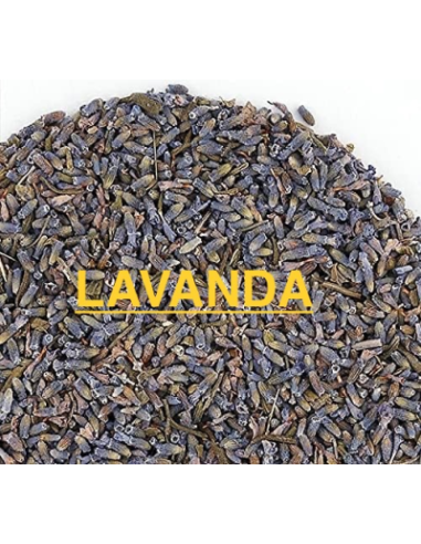 LAVANDA FLOR PRIMERA KG