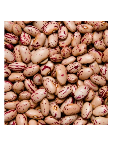 ALUBIA PINTA
