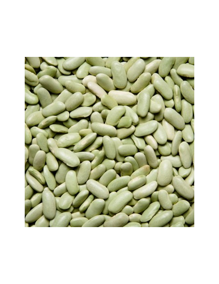ALUBIA VERDINA