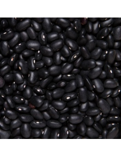 FRIJOL NEGRO