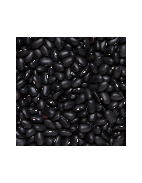 FRIJOL NEGRO