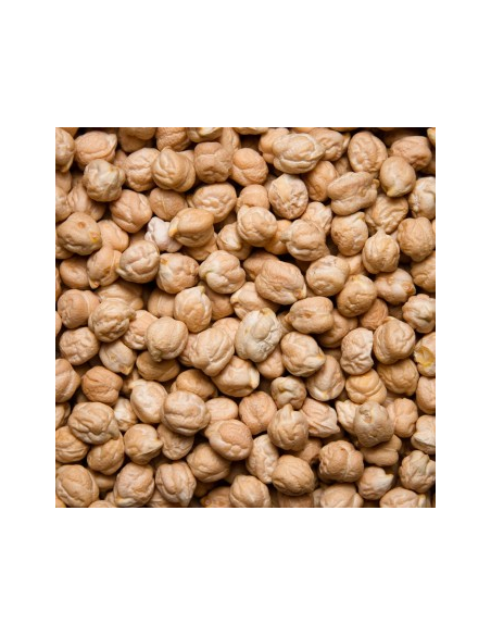 GARBANZO LECHOSO