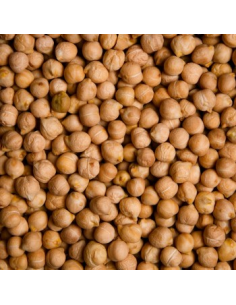GARBANZO PEDROSILLANO
