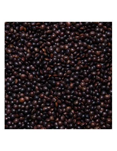 LENTEJA BELUGA O CAVIAR