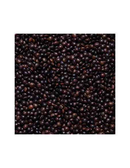 LENTEJA BELUGA O CAVIAR
