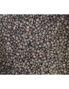 LENTEJA VERDE O DE PUY