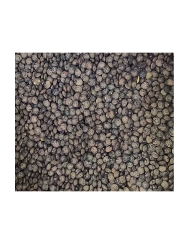 LENTEJA VERDE O DE PUY