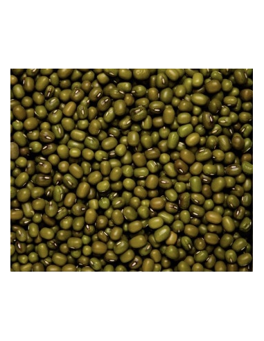 SOJA VERDE O JUDÍA MUNGO