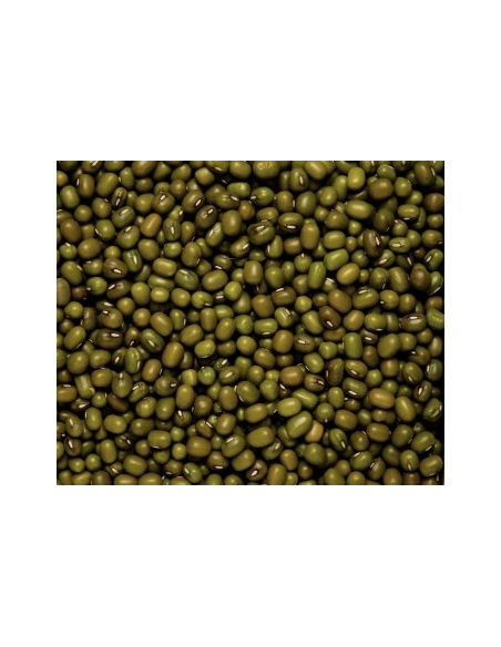 SOJA VERDE O JUDÍA MUNGO