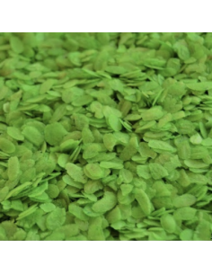 ARROZ VERDE VIETNAMITA