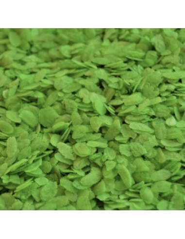 ARROZ VERDE VIETNAMITA