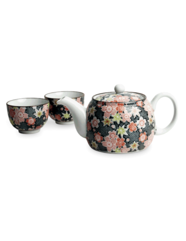 SET YOKAN TETERA Y VASOS PORCELANA JAPONESA