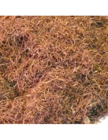 ESTIGMA DE MAÍZ 250 GR