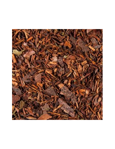 ROOIBOS MENTA CHOCOLATE BIO