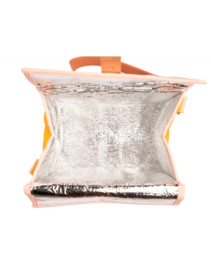 BOLSO TERMICO ORLANDO QUYCUP 2