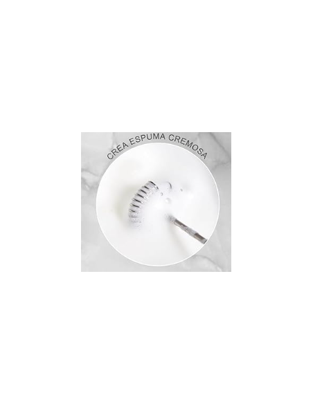 ESPUMADOR DE LECHE FINO