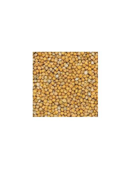 MOSTAZA GRANO KG