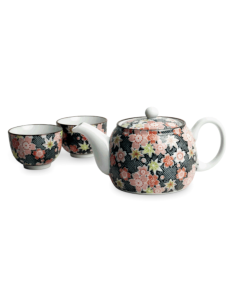 SET YOKAN TETERA Y VASOS PORCELANA JAPONESA