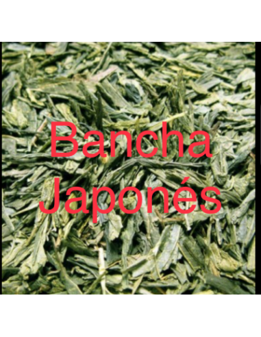 TE VERDE BANCHA JAPONES KG