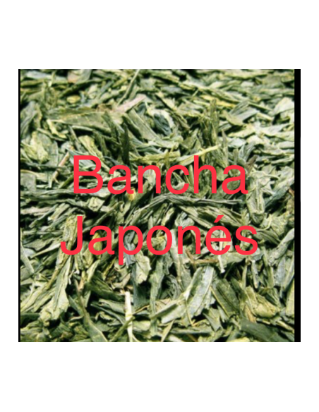 TE VERDE BANCHA JAPONES KG