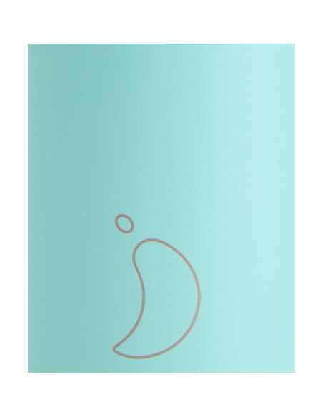 BOTELLA CHILLYS PASTEL MENTA TOTAL 750 ML
