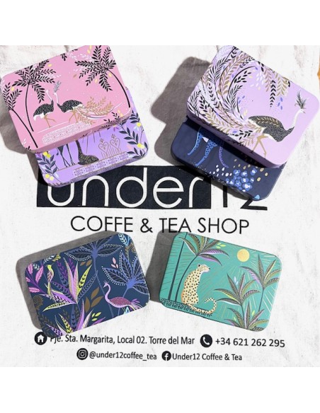 LATA INDIA SLIP LID POCKET TINS SARA MILLER