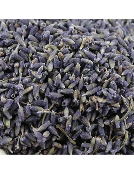 LAVANDA FLOR PRIMERA