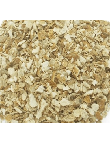 LIMON DESHIDRATADO DADOS