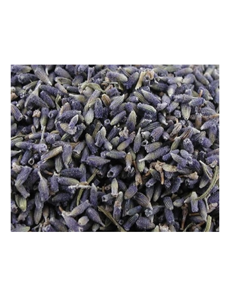 LAVANDA FLOR PRIMERA
