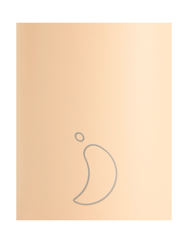 BOTELLA CHILLYS SERIE 2 LISAS 1 L