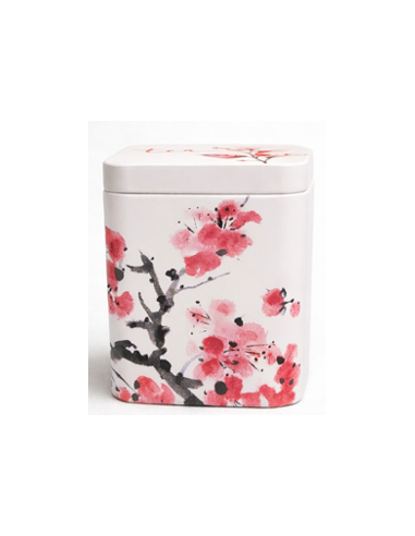 LATA SAKURA 100 GR