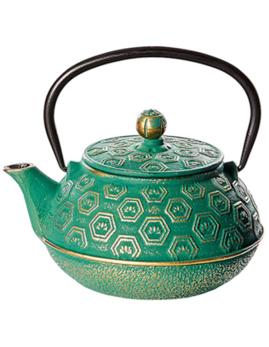 TETERA HEBEI HIERRO 0.8 L