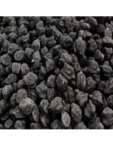 GARBANZO NEGRO