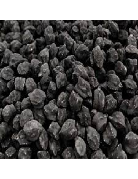 GARBANZO NEGRO