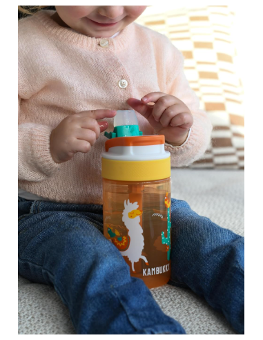 BOTELLA NIÑOS LAGOON MEXICAN PARADE...