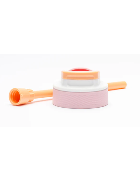 BOTELLA LAGOON MANGO TANGO KAMBUKKA 750 ML