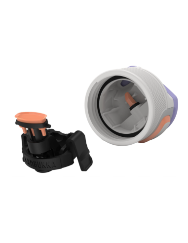 BOTELLA ELTON BARELY BLUSH 500 ML...