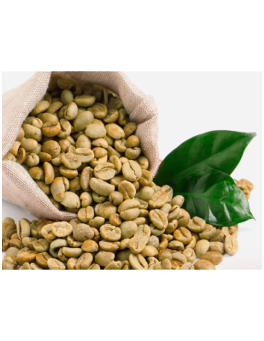 CAFÉ VERDE GRANO BIO COMERCIO JUSTO...